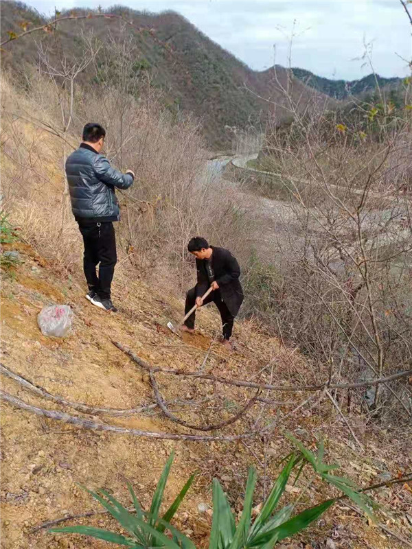 &#20159;&#24503;&#20307;&#32946;&#40;&#20013;&#22269;&#41;&#20307;&#32946;&#23448;&#26041;&#32593;&#31449;
