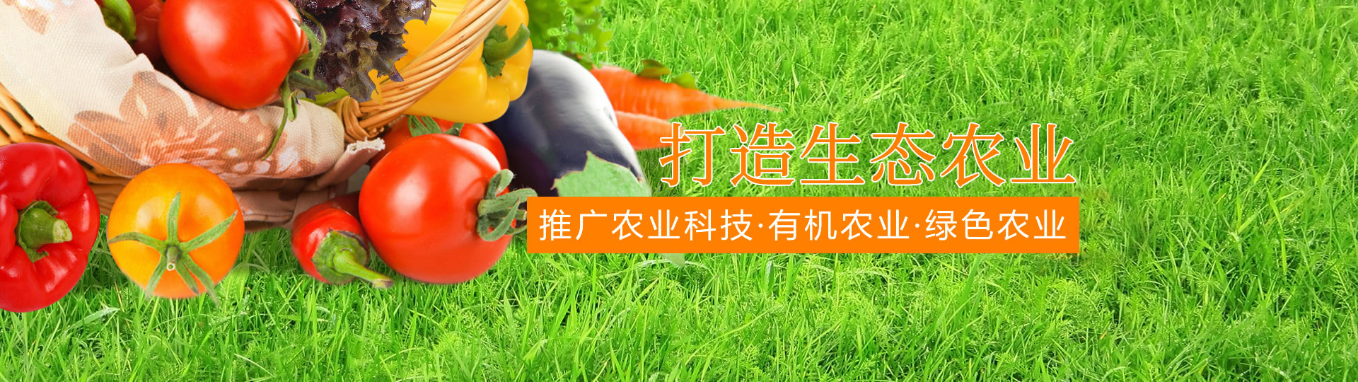 &#20159;&#24503;&#20307;&#32946;&#40;&#20013;&#22269;&#41;&#20307;&#32946;&#23448;&#26041;&#32593;&#31449;